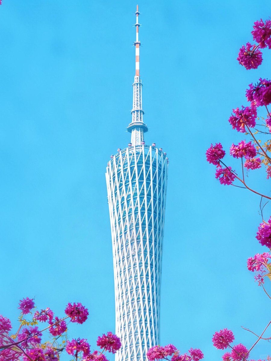 Fanyi🦋🌸 tweet media