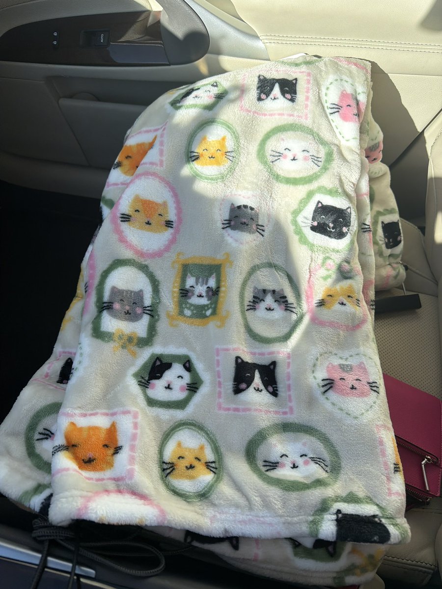 sma$hley ✨ tweet media