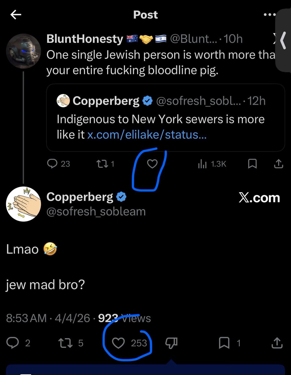 Copperberg tweet media