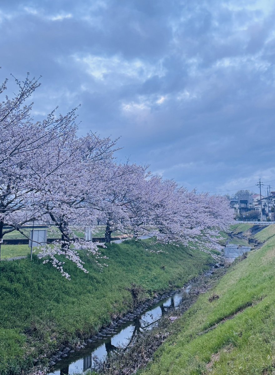 ron ron 5/23.24デザフェス tweet media