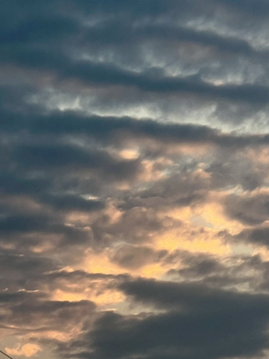 dyingtogetin2 tweet media