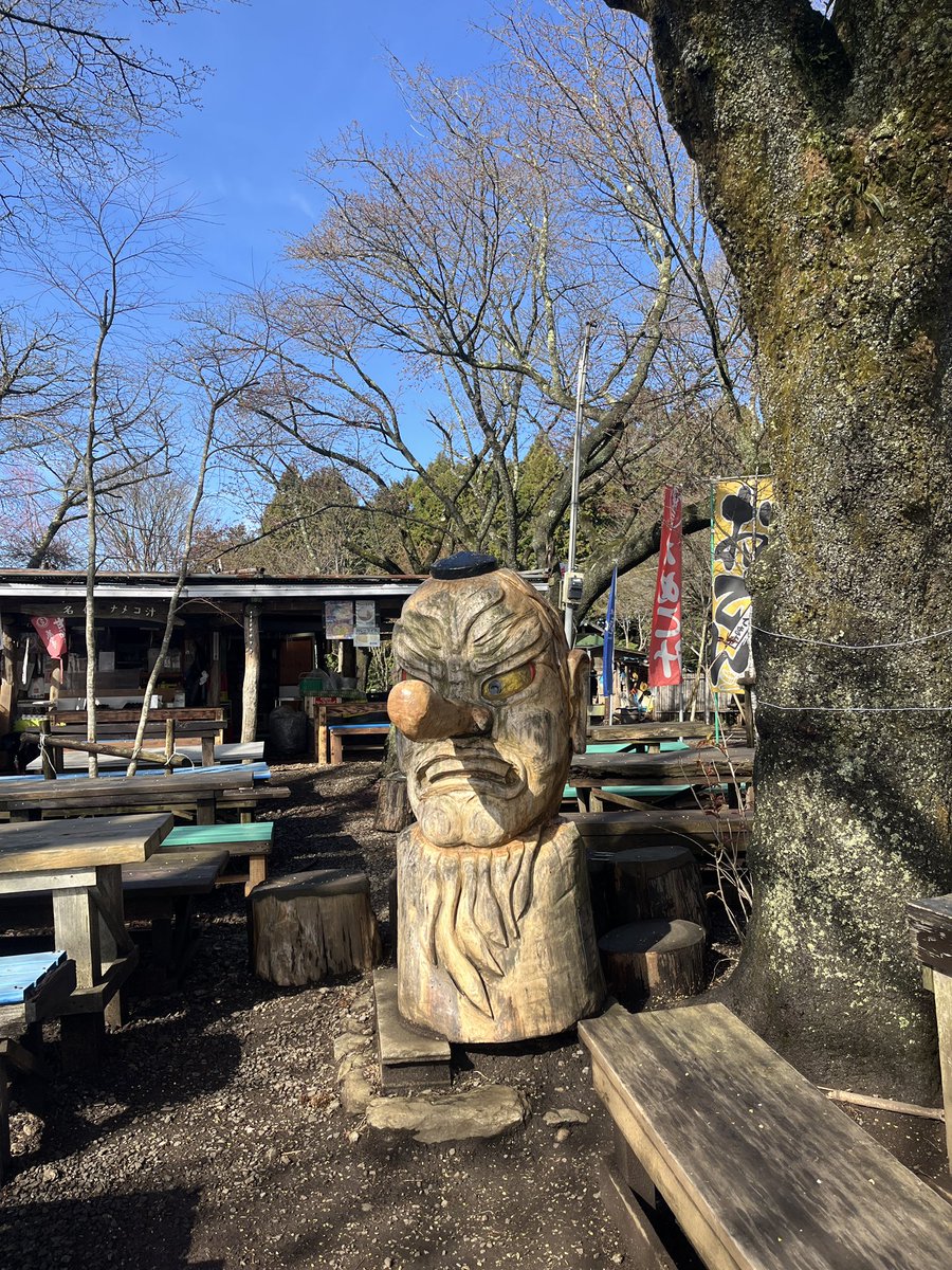 ささゆー tweet media