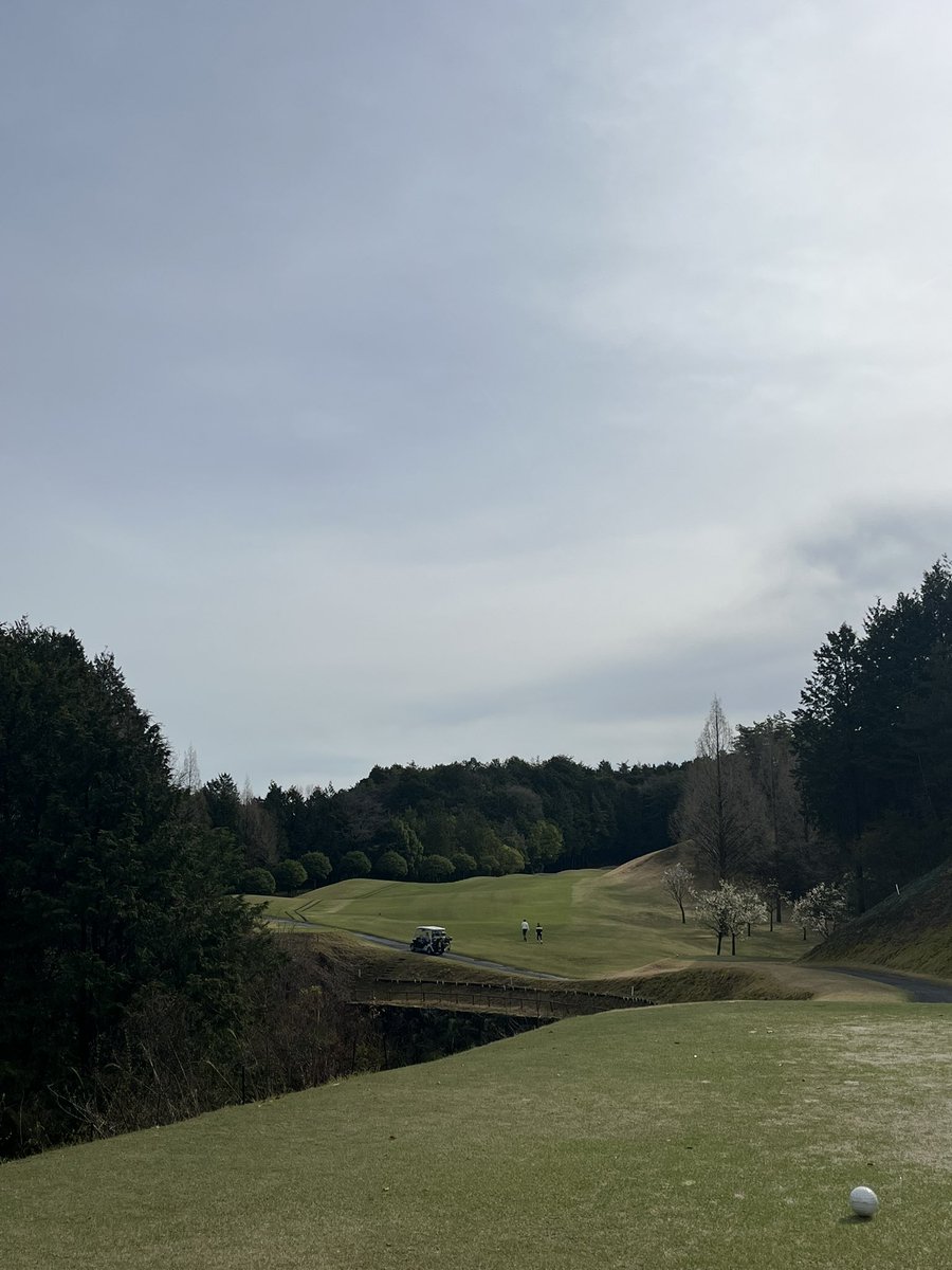 ma_cha_de_o_ma tweet media