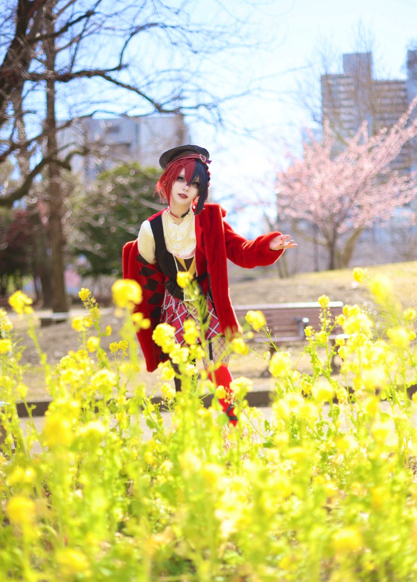 ぷん🐰 tweet media