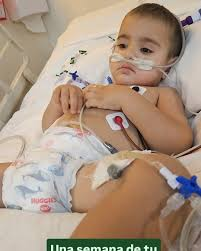 Cacho Cuervo tweet media