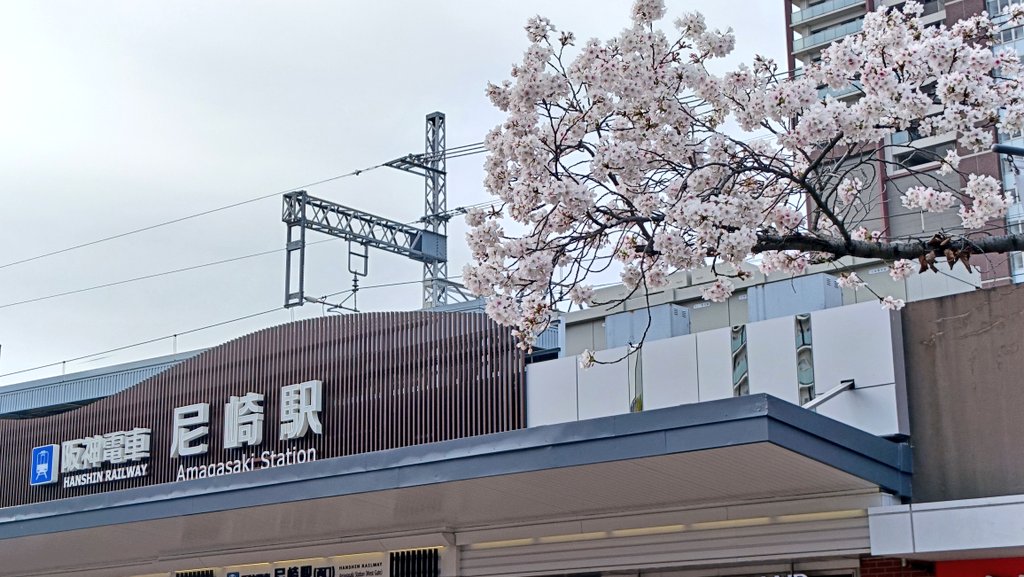 はかせ tweet media