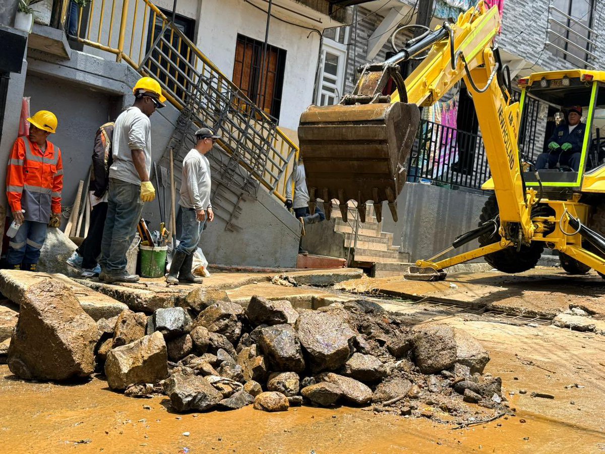 Alejandro De Bedout tweet media