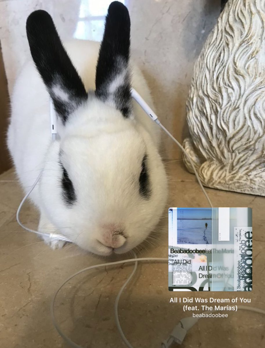 beabadoobee core tweet media