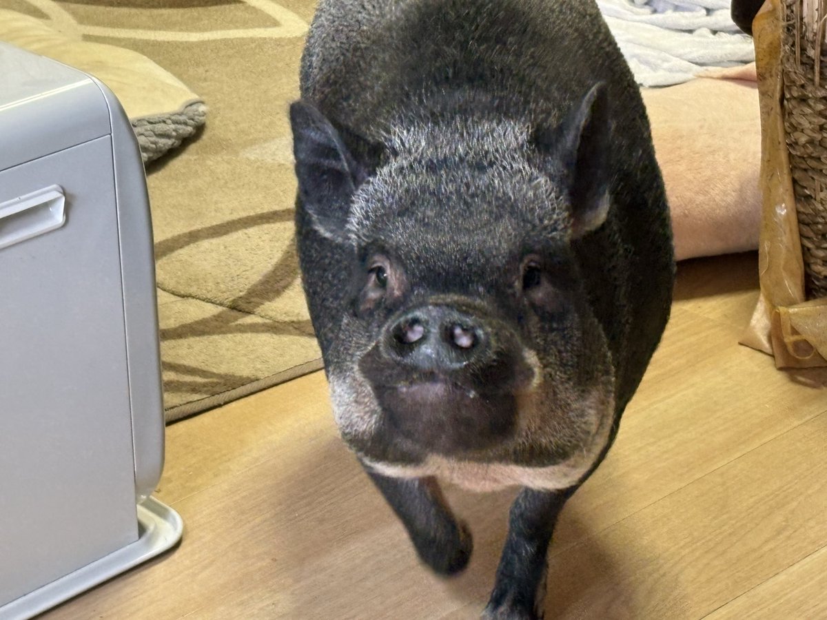 handmade Life tweet media