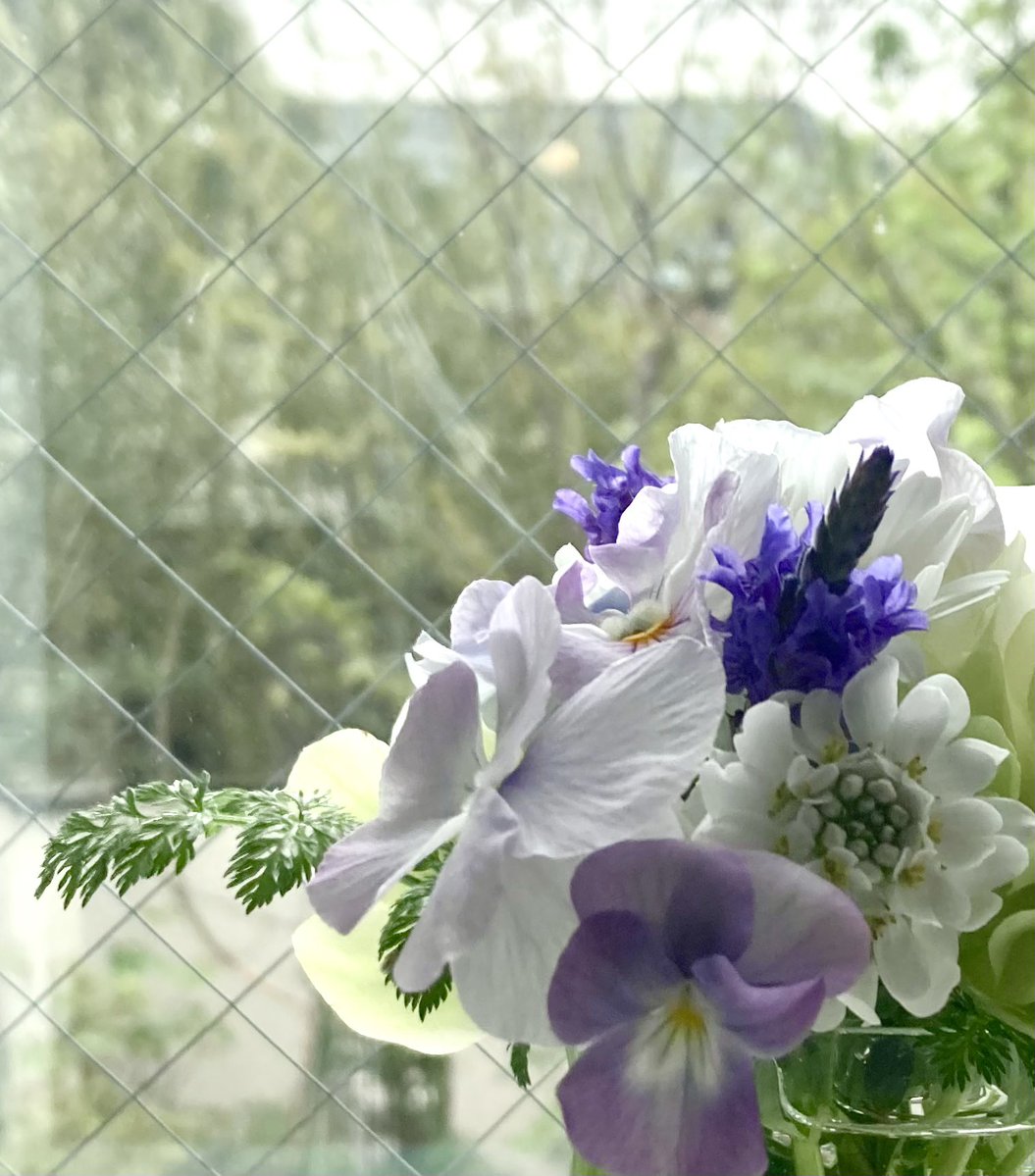 RoseHuskyDiamond tweet media