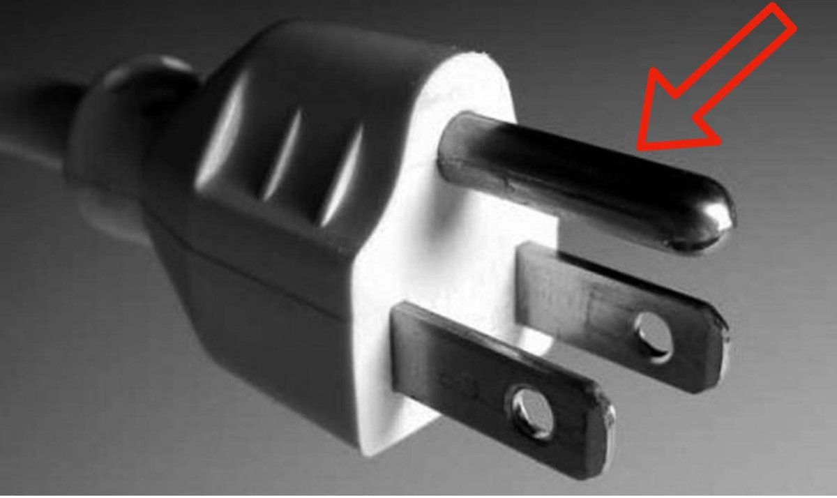 Marcela Quintero tweet media