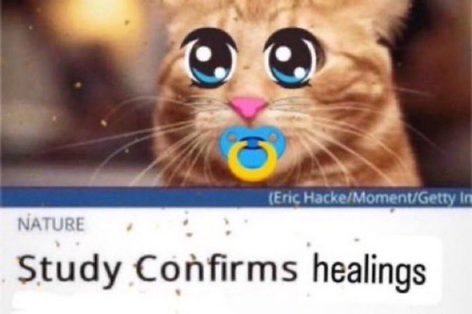 sarah🦦 tweet media