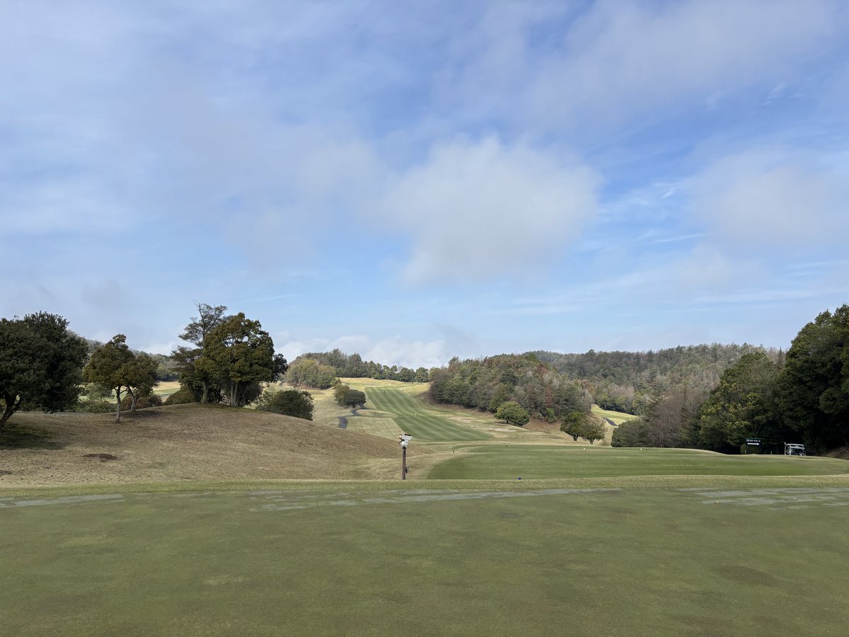 さっくん@でんでん太鼓🌺 tweet media