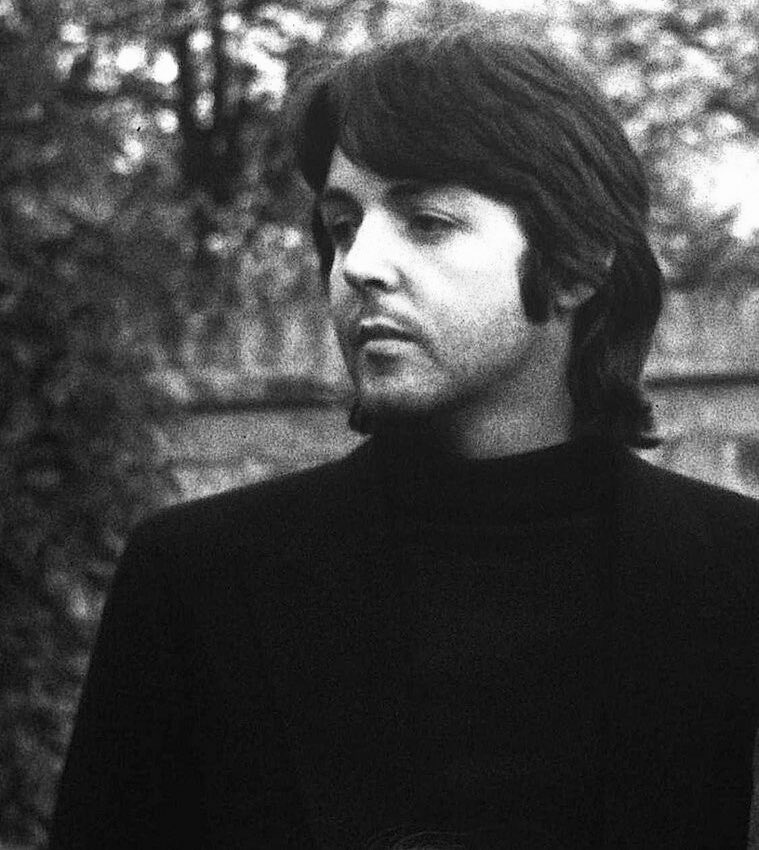 Dree ✿ 🐦‍⬛ tweet media