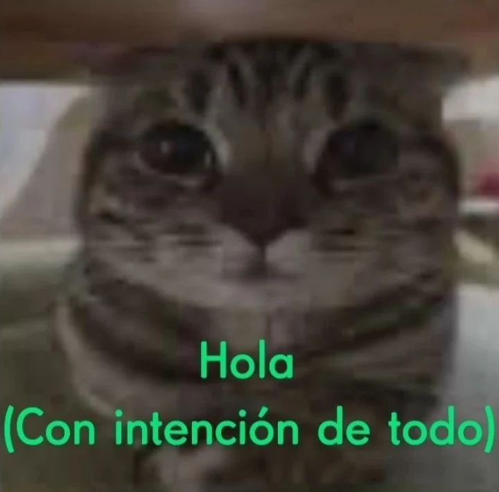 MonHendy tweet media