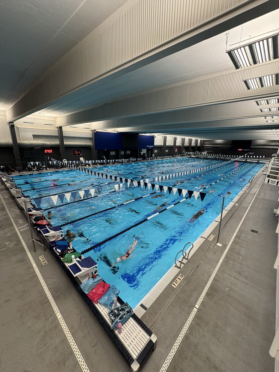 David Orr tweet media