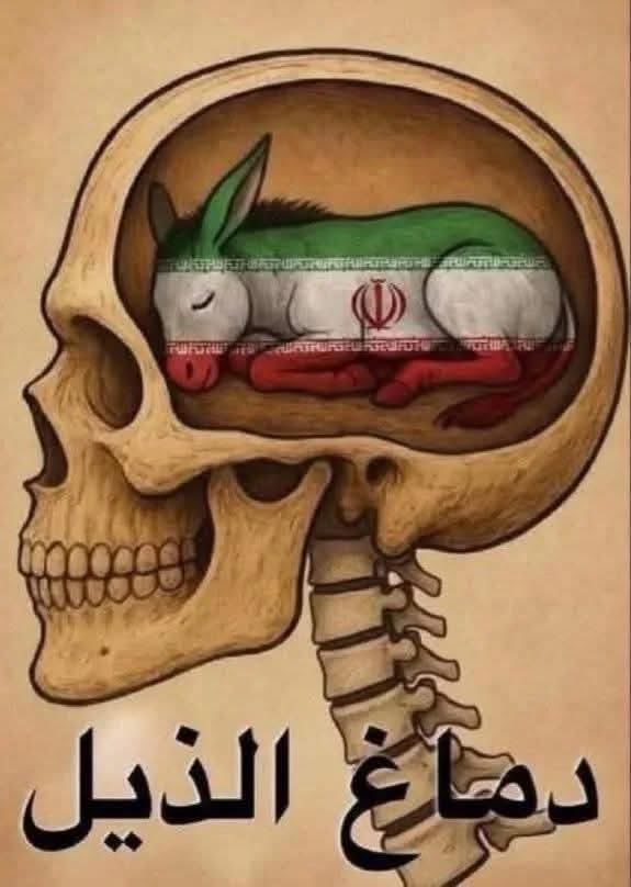 هتان 🌬 tweet media