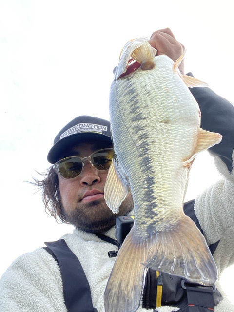 Major League Fishing JAPAN tweet media