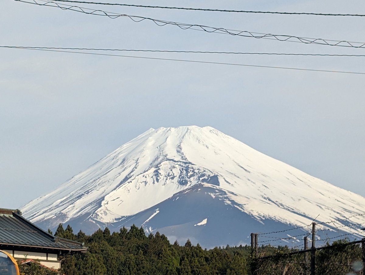 結城あずさ＠PON猫系VTuber tweet media