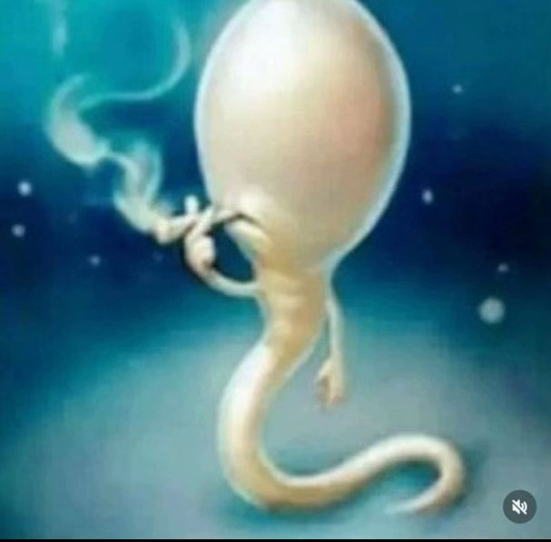 LoL ٩( 'ω' )و tweet media