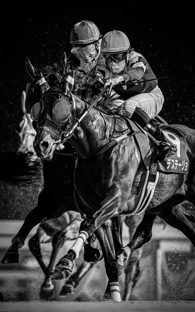 @๐๐ท๐ช๐ซ๐ต๐ฎ๐ tweet media