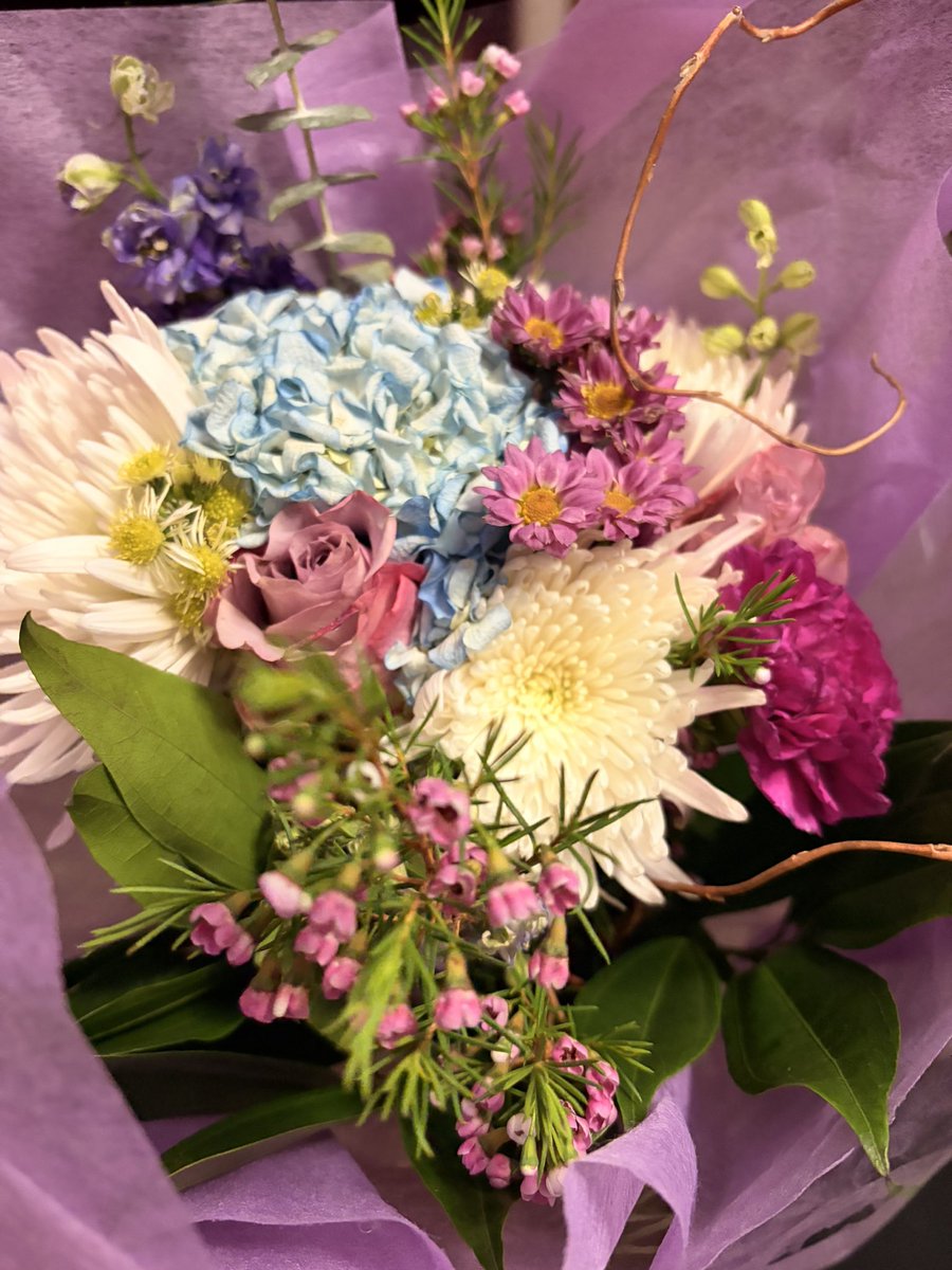 𓈒˚ ༘ ✿ kitty ⋆｡˚❀ tweet media