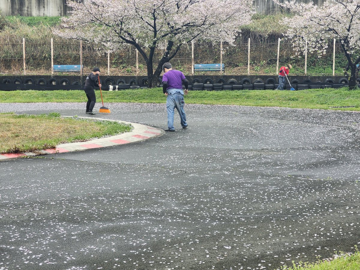 gang_chang_'s tweet image. 桜満開で綺麗なんだケド、濡れ花びらがエグいトラップ(笑)
#桜を見る会　#しんしろカートコース　#だもんで