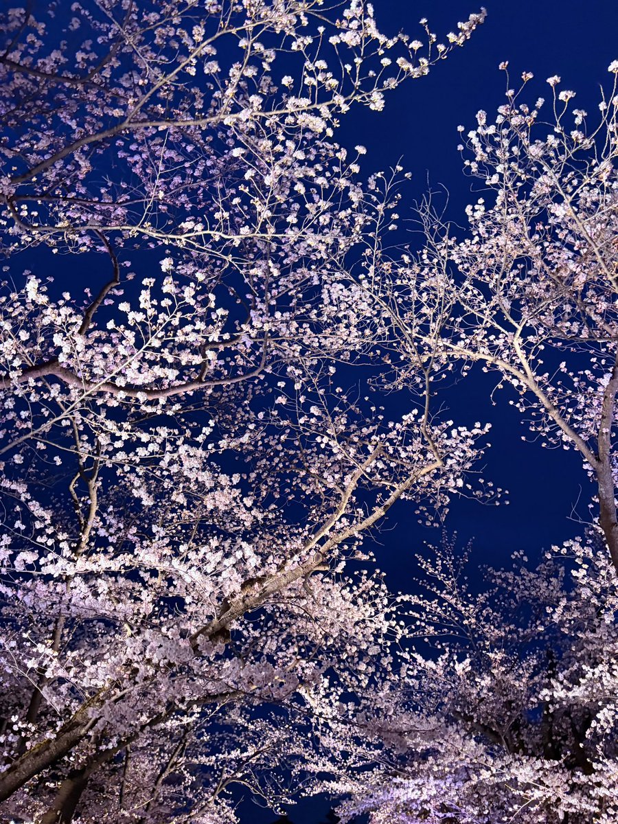 おにく tweet media