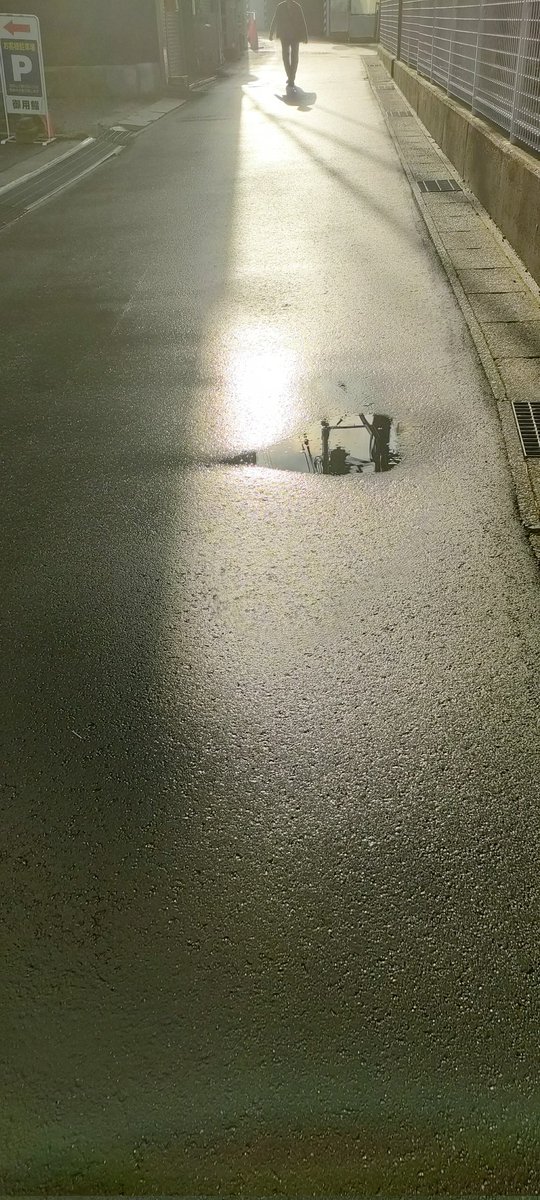 akiko100% tweet media