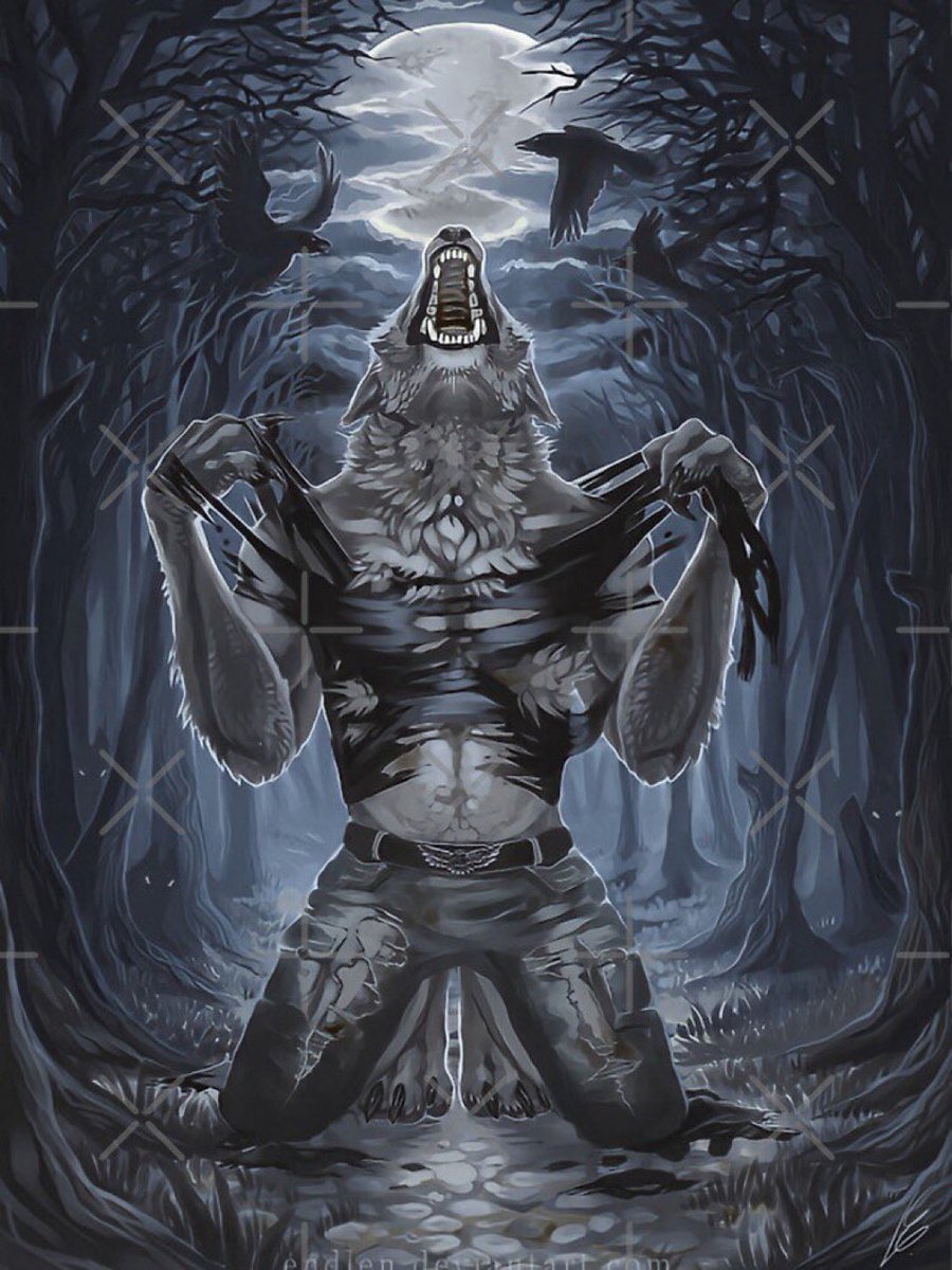 Juniand’r⁷ ⊙⊝⊜ 🪾 tweet media