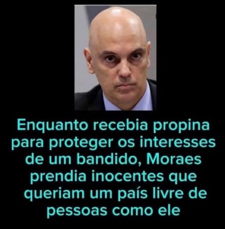 Democracia Viva🗯️ tweet media