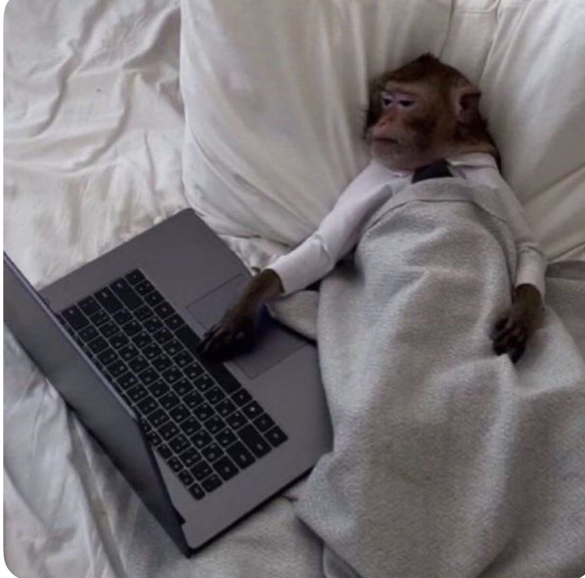 4Tapping tweet media