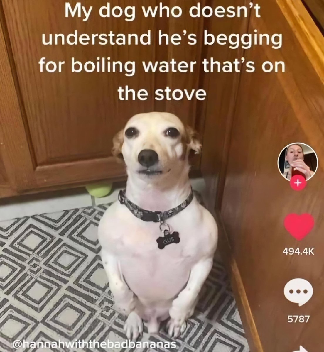 lucischild's tweet image. preciso que alguém venha fazer um carnaval na MINHA vida tão sem sal