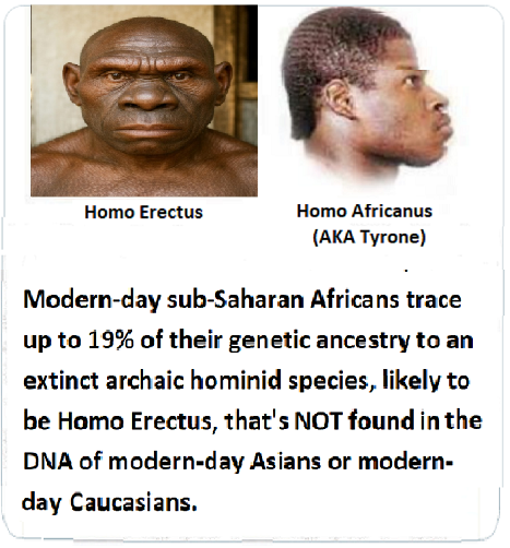 Sujong An tweet media