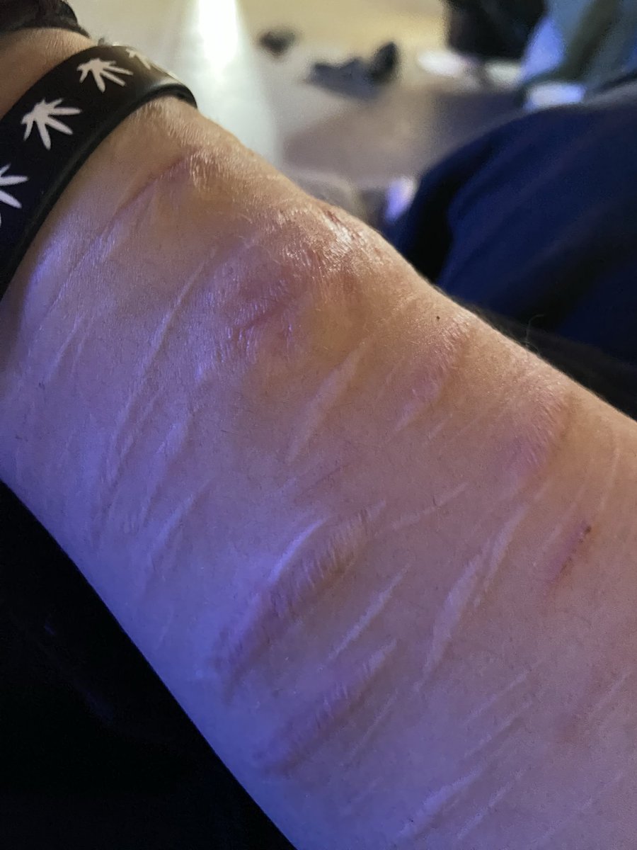 Isaac Foster Of Shedtwt tweet media