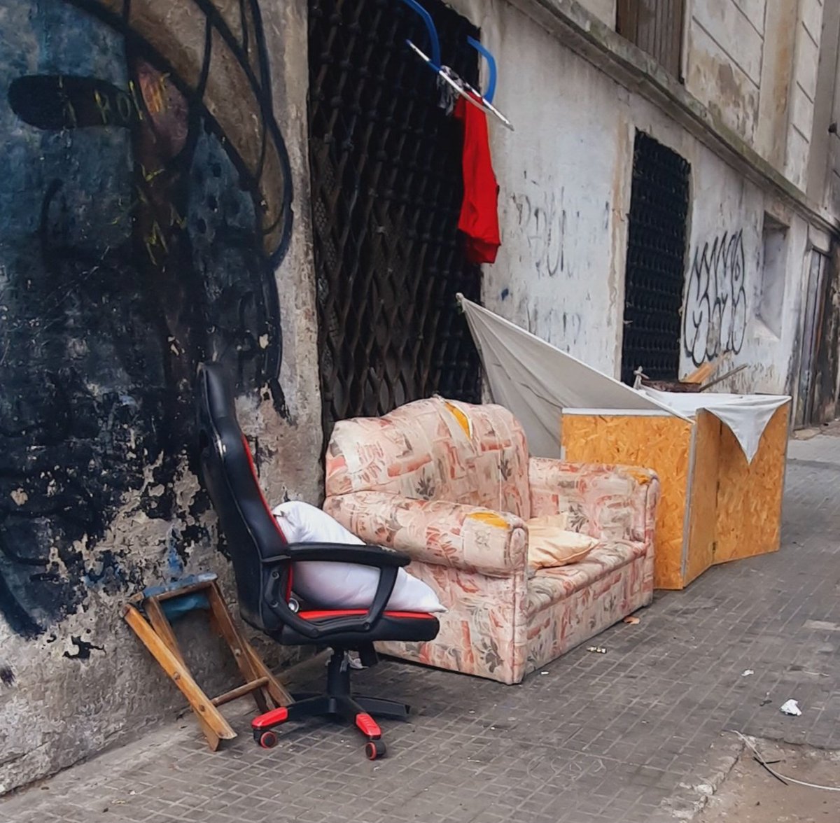 Judith Quartino tweet media