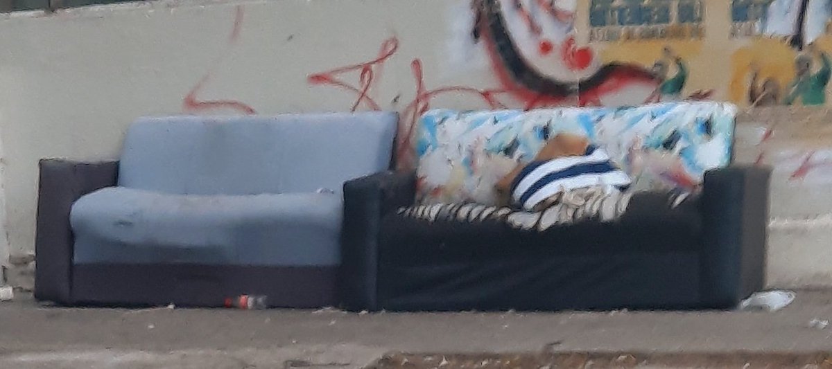 Judith Quartino tweet media