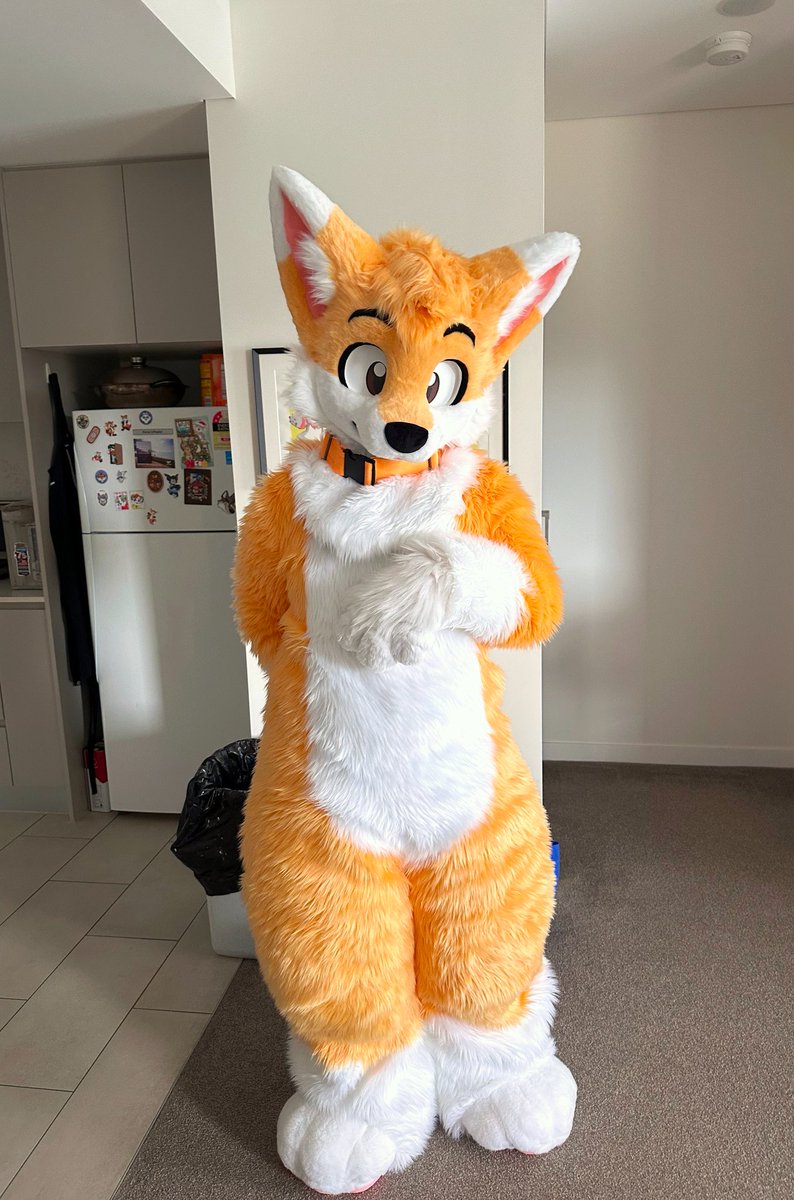 Has anyone seen my glasses? 🦊 👓 ❓

Oh also. I promise my collar is real. It is not AI. 🦊🟠

*Intentionally not Magic Erasing that bin this time...🗑️*

🪡🧵: <a href="/kukuGummyShark/">kuku</a> 
🟠: <a href="/HuanMao_CN/">幻毛造物🔜HiFurry</a> &amp; <a href="/FurshionStudio/">福森Furshion</a> 
📸: <a href="/shujja/">shujja</a>