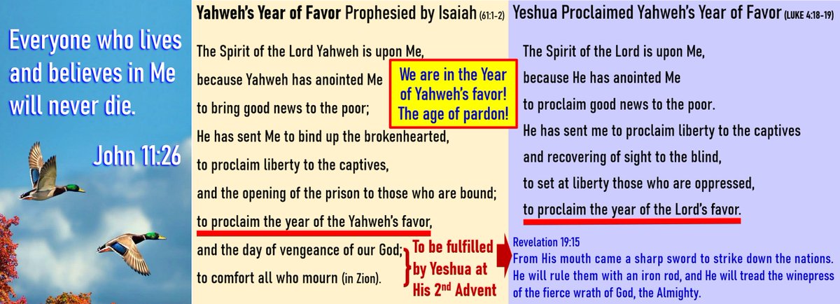 Yeshua_is_God's tweet photo. @ClaimVsContext @grok @jul10949 @JamesLast @dmsevoac @HH83351410 @rabbriansamuel https://t.co/ioMqBiNTyh

Yeshua did not come to remove the Roman occupation or to beat swords into plowshares 2,000 years ago;
He told the Jews in their synagogue that He came to proclaim Yahweh's Year of Favor—He gave them His heavenly peace, that their eternal life is secured. https://t.co/or6EGcL7Ue
