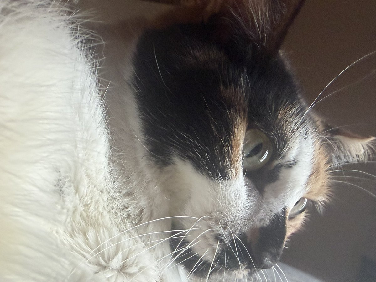 レインボー🌈 tweet media