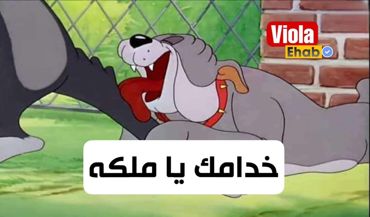 miyamura ( life is not daijoubu ) ❄️ tweet media