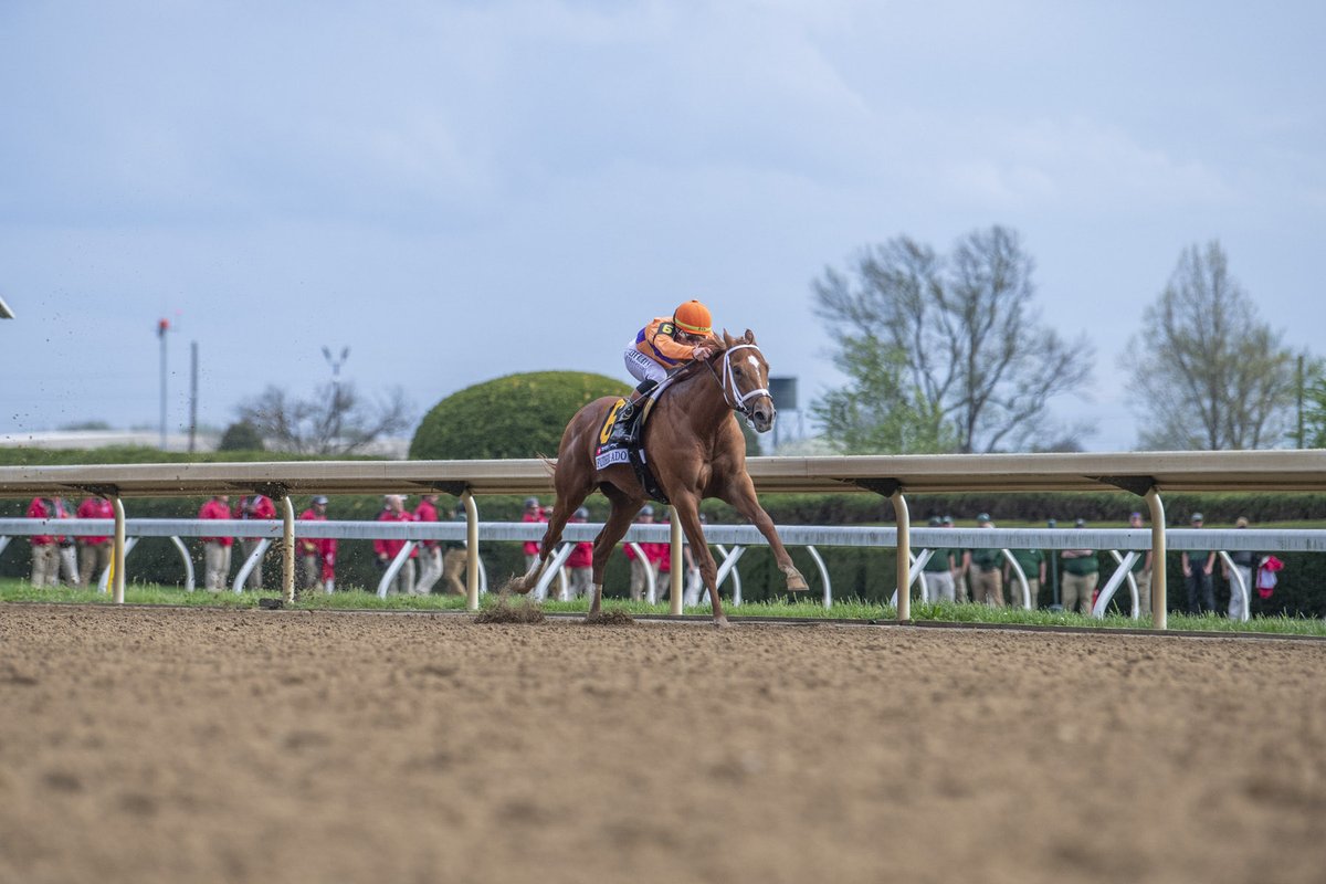 Spendthrift Farm tweet media