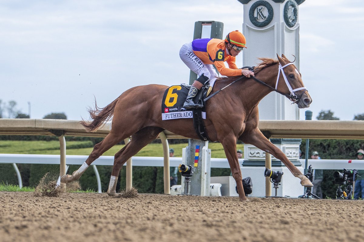 Spendthrift Farm tweet media