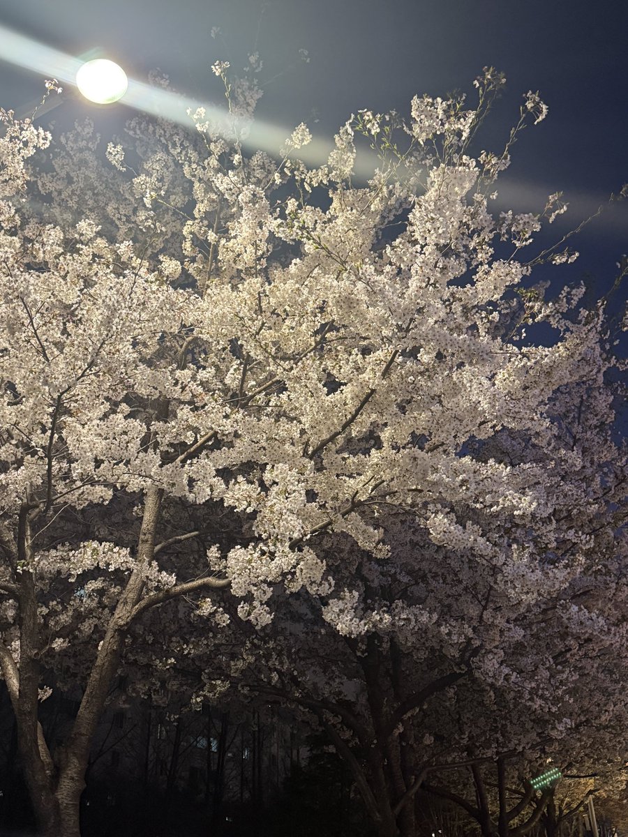 🎀𓂃🍓𓈒𓏸 tweet media