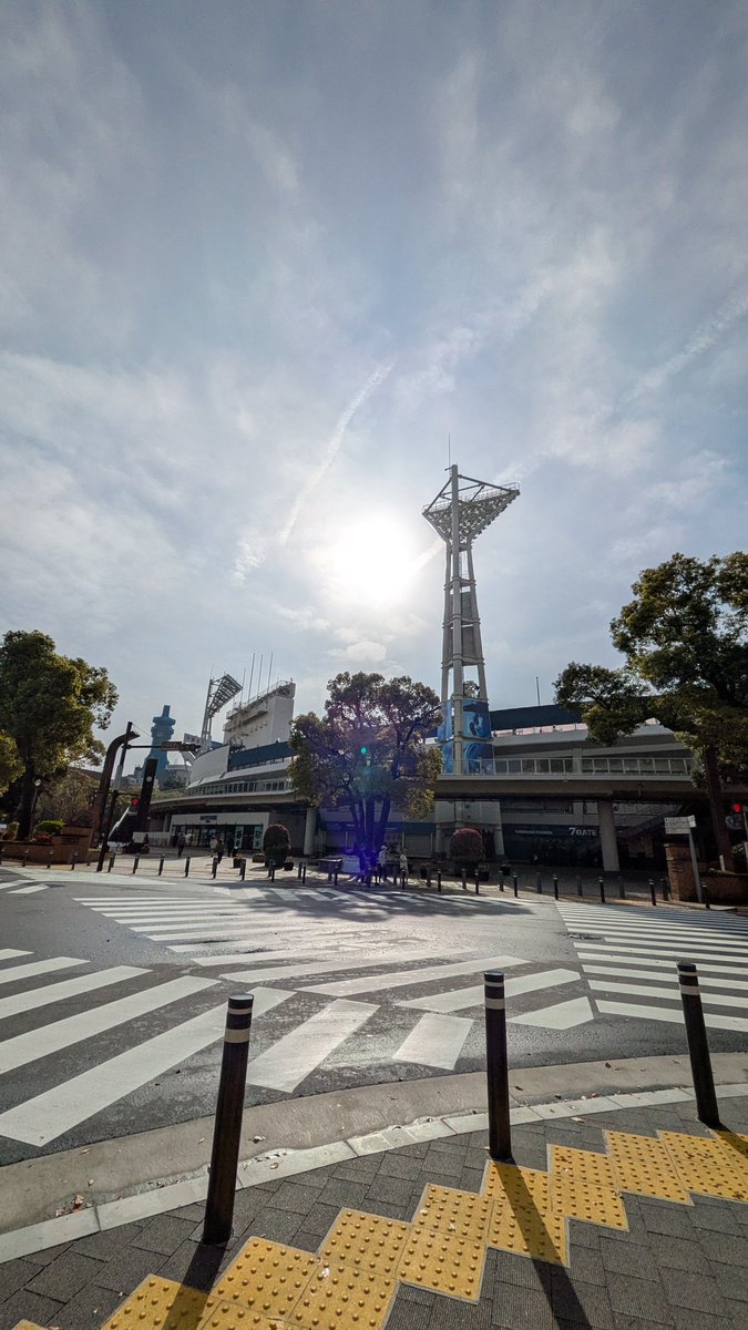 じんらい🍓@サラダパン🍓 tweet media