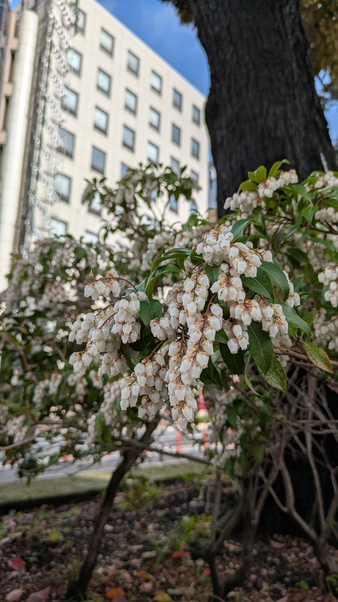 じんらい🍓@サラダパン🍓 tweet media