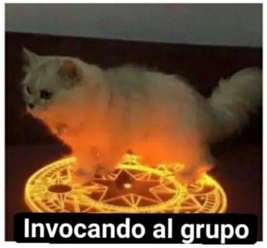 Asahi Ōka tweet media