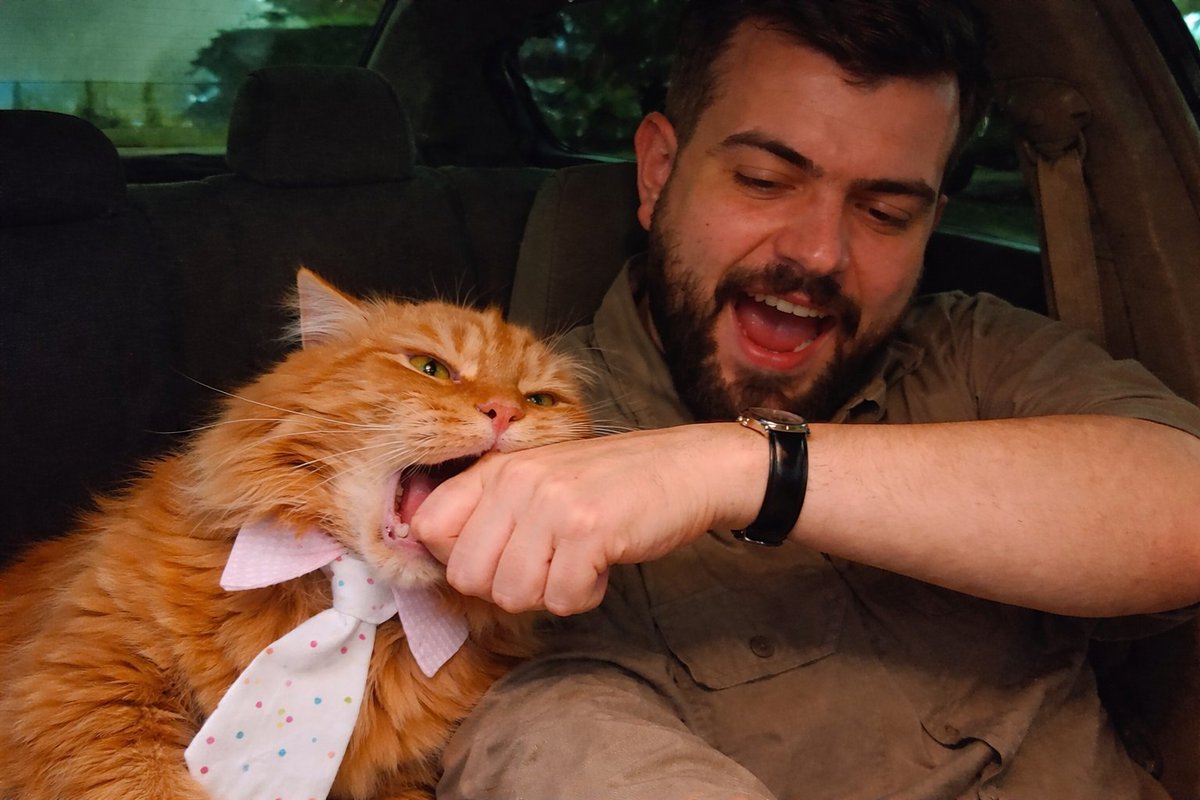 Katie "You Flapping Twat" "Pick Me Bxtch" Sanders tweet media