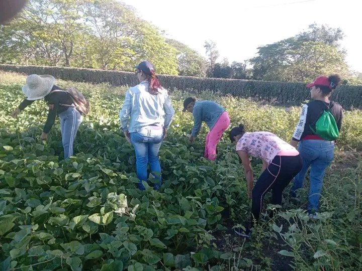 Majibacoa también desarrolla diferentes actividades para celebrar el aniversario de nuestros pioneros y jóvenes. Muchas felicidades.
#SomosContinuidad  #PorLasTunasLaVictoria