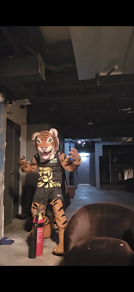 VigTorarr tweet media